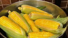 Jak a jak dlouho se vaří kukuřice – a co je dobré přidat do vody, aby byla měkká
